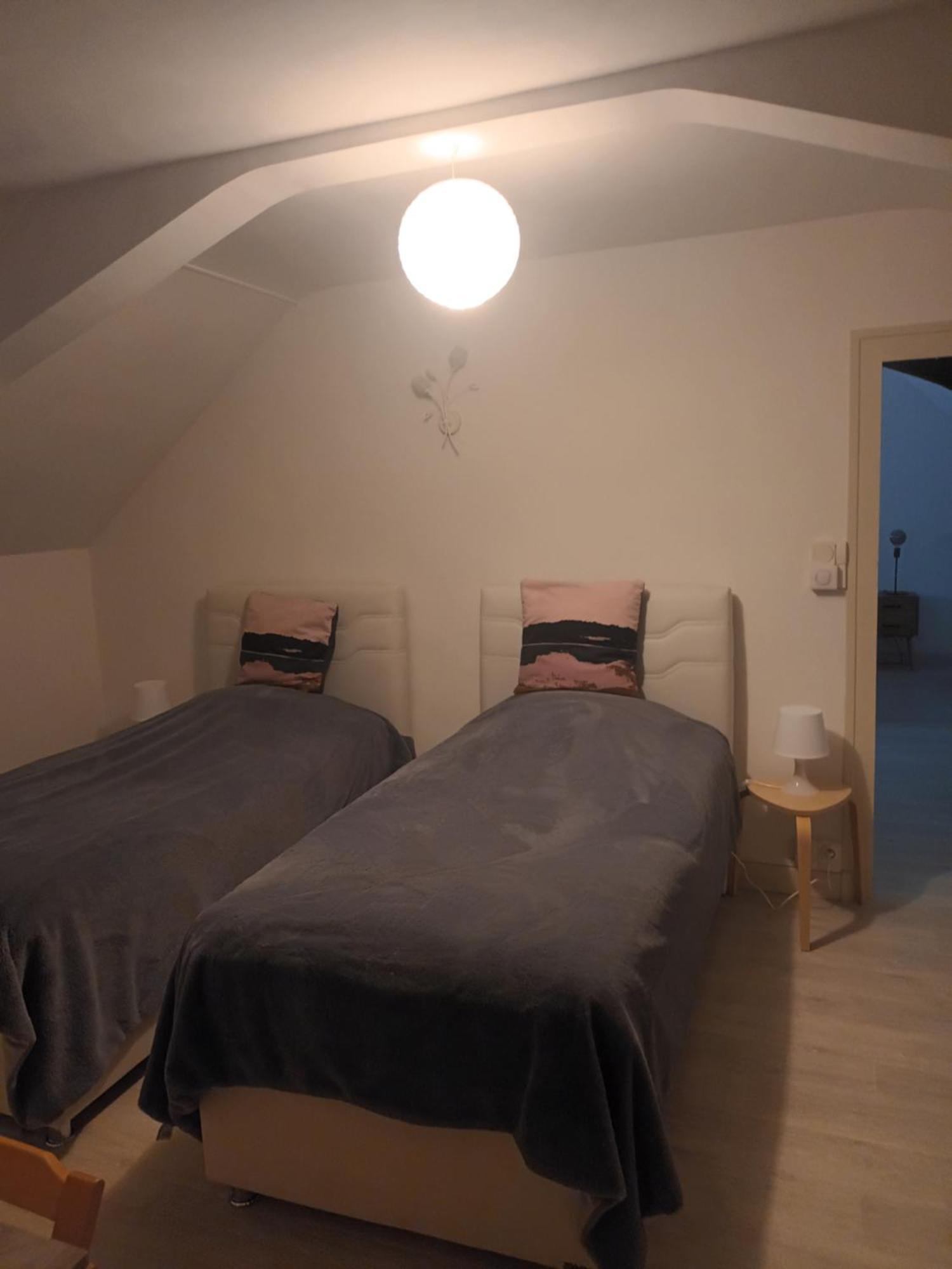 Le Gite Au Pied Du Chateau De Chaumont エクステリア 写真